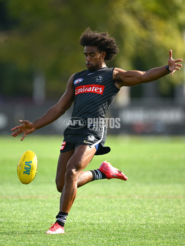 AFL 2025 Training - Collingwood 030325 - A-57648423
