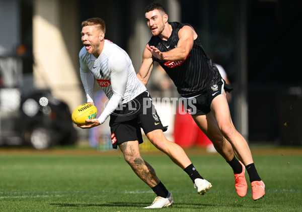 AFL 2025 Training - Collingwood 030325 - A-57648444