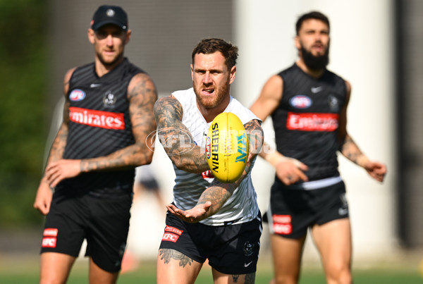 AFL 2025 Training - Collingwood 030325 - A-57648446
