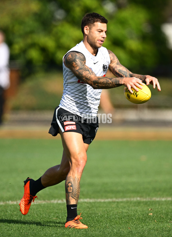 AFL 2025 Training - Collingwood 030325 - A-57648456