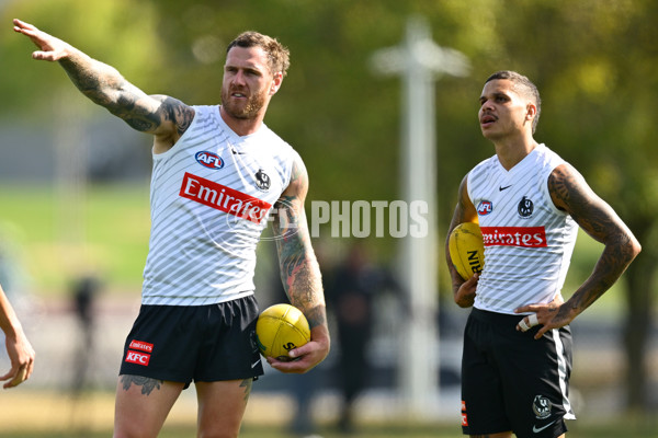 AFL 2025 Training - Collingwood 030325 - A-57648476