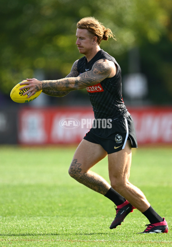 AFL 2025 Training - Collingwood 030325 - A-57649122