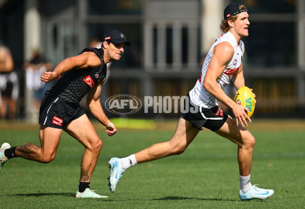 AFL 2025 Training - Collingwood 030325 - A-57649136
