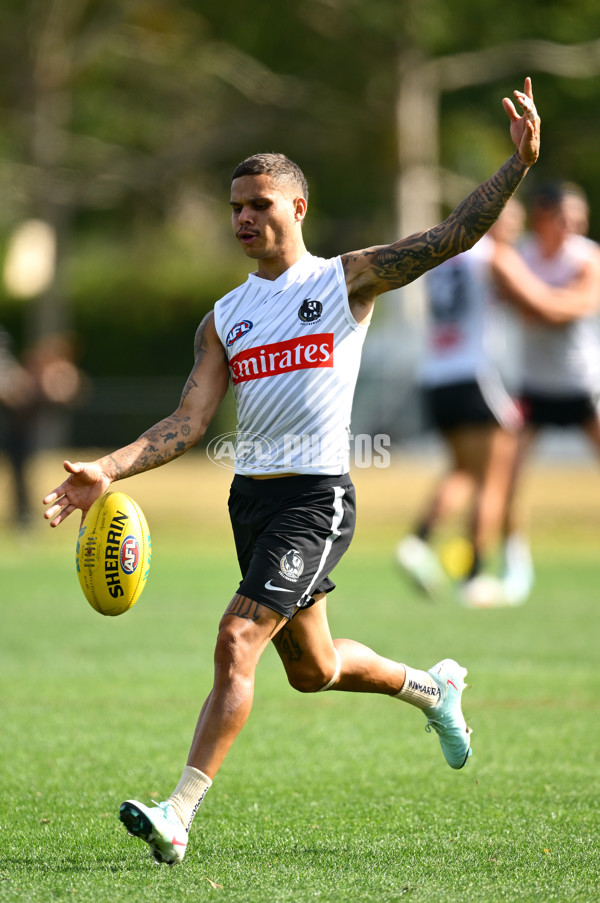 AFL 2025 Training - Collingwood 030325 - A-57649137