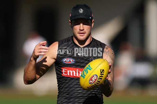AFL 2025 Training - Collingwood 050325 - A-57665609