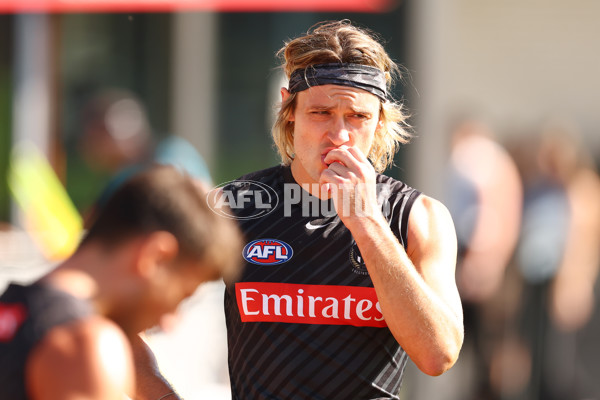 AFL 2025 Training - Collingwood 050325 - A-57665640