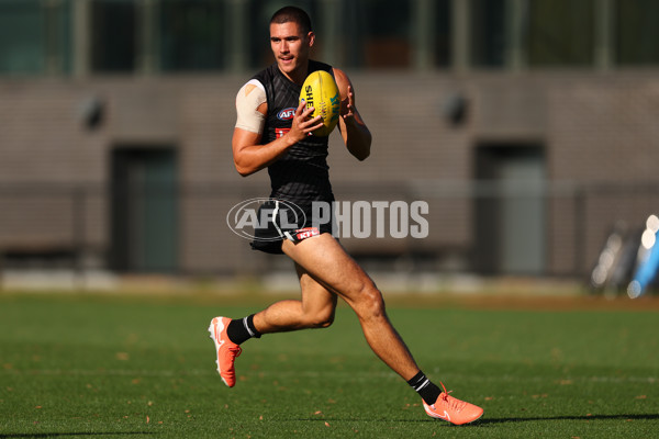 AFL 2025 Training - Collingwood 050325 - A-57666007