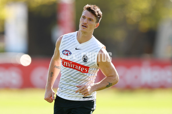 AFL 2025 Training - Collingwood 050325 - A-57666029