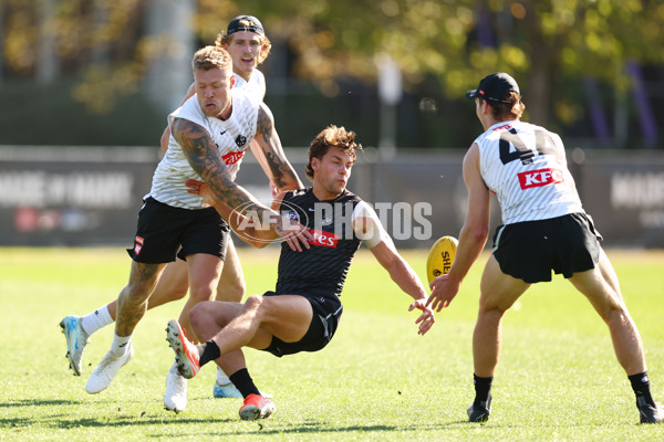 AFL 2025 Training - Collingwood 050325 - A-57666041