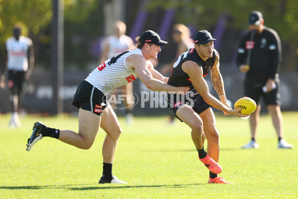 AFL 2025 Training - Collingwood 050325 - A-57668400