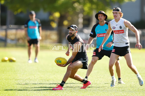AFL 2025 Training - Collingwood 050325 - A-57668403