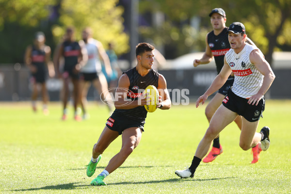 AFL 2025 Training - Collingwood 050325 - A-57668412