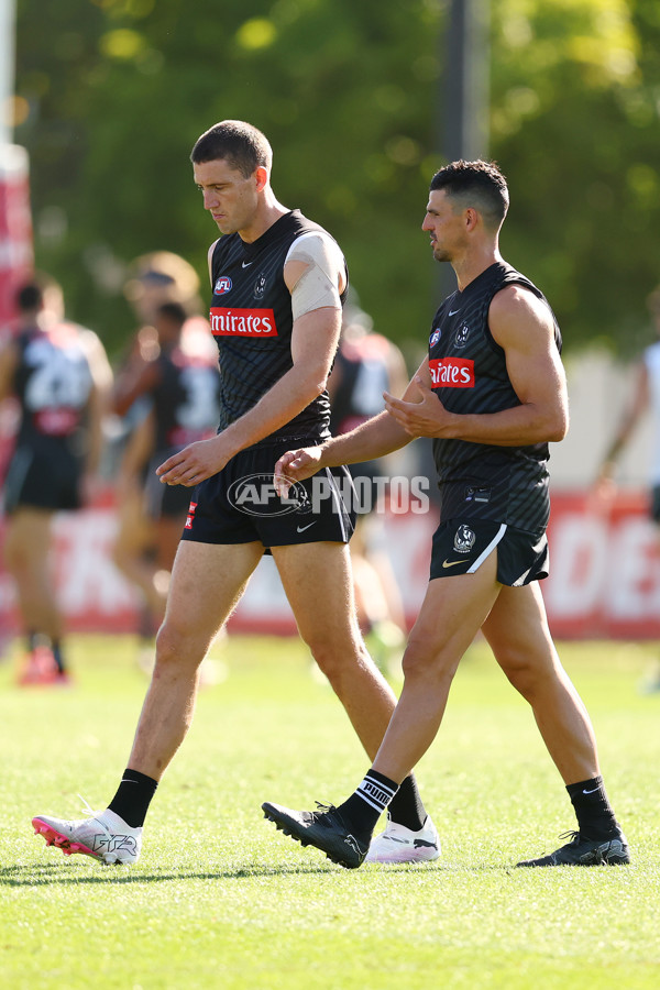 AFL 2025 Training - Collingwood 050325 - A-57668413