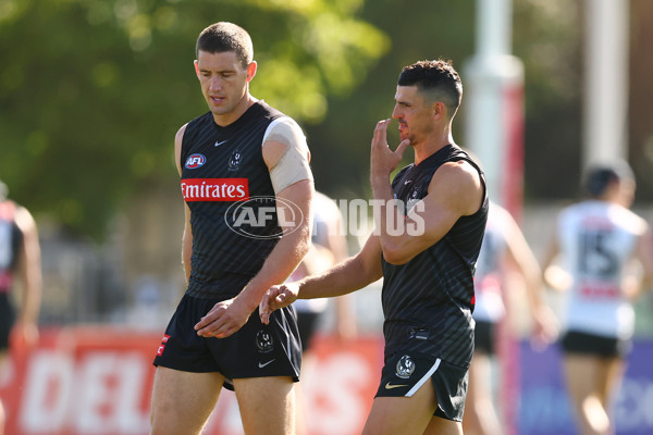 AFL 2025 Training - Collingwood 050325 - A-57668414