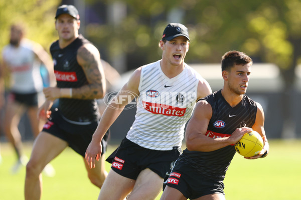 AFL 2025 Training - Collingwood 050325 - A-57668415