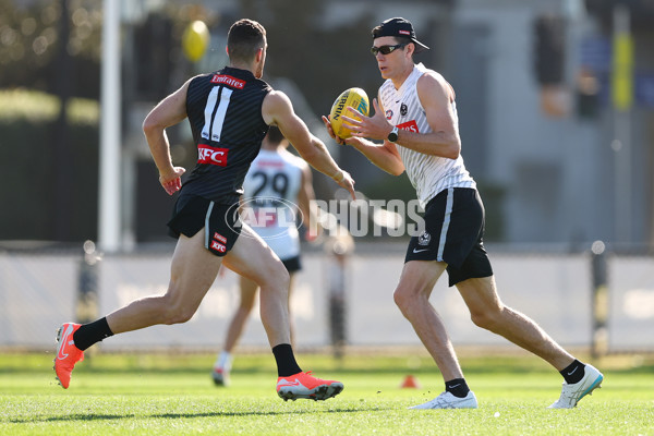 AFL 2025 Training - Collingwood 050325 - A-57668460