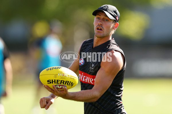 AFL 2025 Training - Collingwood 050325 - A-57669003