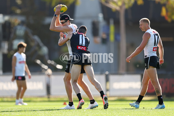 AFL 2025 Training - Collingwood 050325 - A-57669053