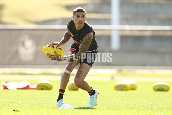 AFL 2025 Training - Collingwood 050325 - A-57671121
