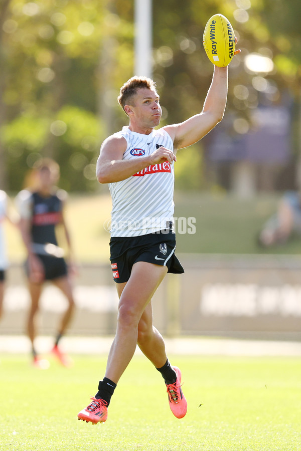 AFL 2025 Training - Collingwood 050325 - A-57671122