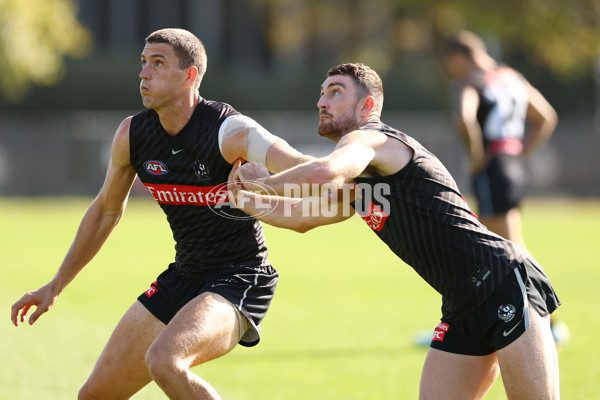 AFL 2025 Training - Collingwood 050325 - A-57671707