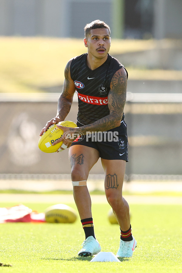 AFL 2025 Training - Collingwood 050325 - A-57671714