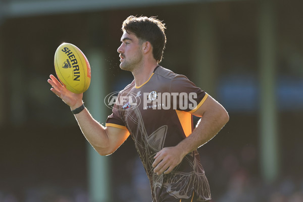 AFL 2025 Opening Round - Sydney v Hawthorn - A-57674584
