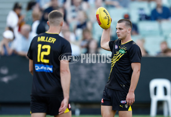 AFL 2025 Round 01 - Richmond v Carlton - A-57754289