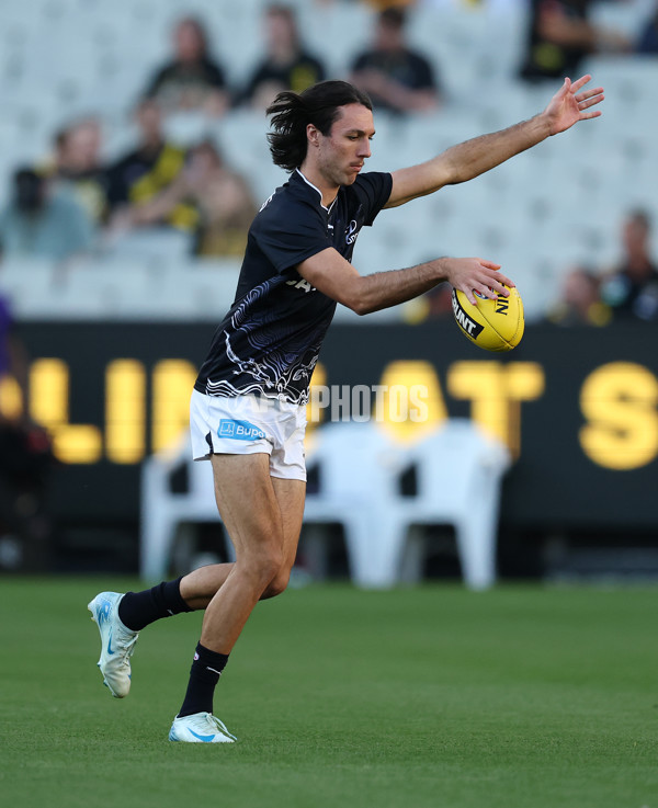 AFL 2025 Round 01 - Richmond v Carlton - A-57754311