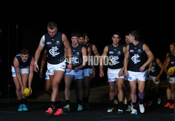 AFL 2025 Round 01 - Richmond v Carlton - A-57754916