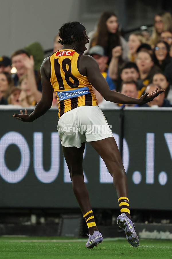 AFL 2025 Round 02 - Carlton v Hawthorn - A-57967730