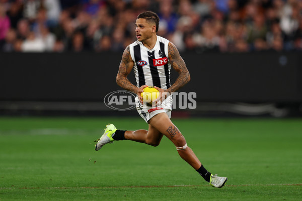 AFL 2025 Round 02 - Footscray v Collingwood - A-57998948