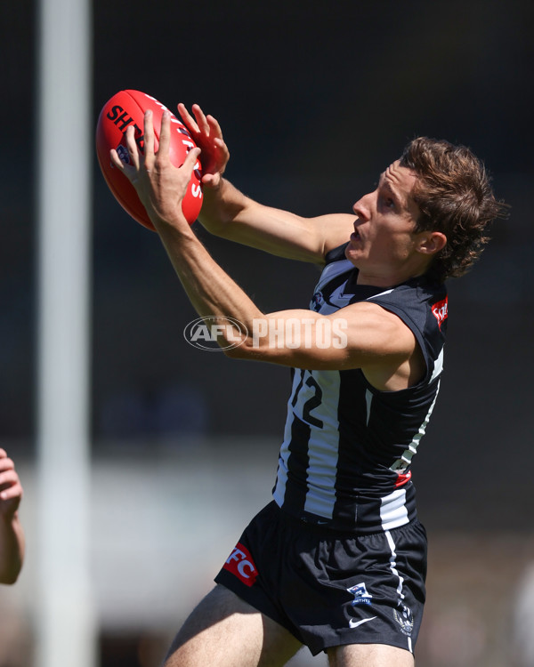 VFL 2025 Round 01 - Collingwood v Sydney - A-58011728