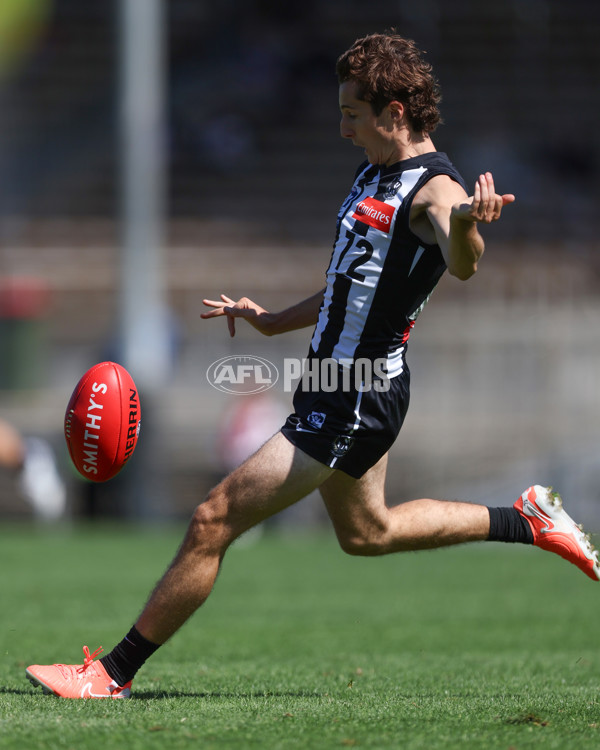 VFL 2025 Round 01 - Collingwood v Sydney - A-58013193