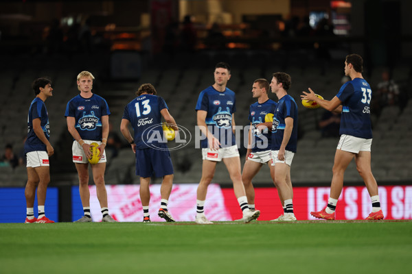 AFL 2025 Round 02 - St Kilda v Geelong - A-58019351