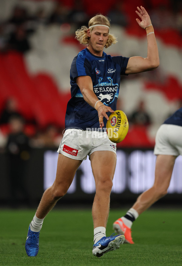 AFL 2025 Round 02 - St Kilda v Geelong - A-58019403