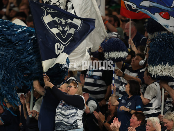 AFL 2025 Round 02 - St Kilda v Geelong - A-58023984