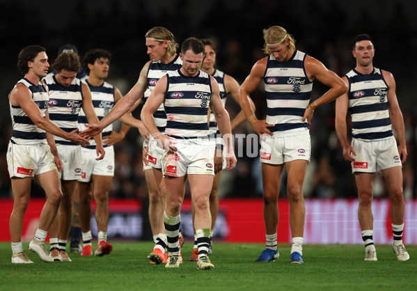 AFL 2025 Round 02 - St Kilda v Geelong - A-58029167
