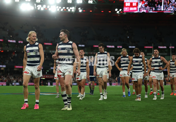 AFL 2025 Round 02 - St Kilda v Geelong - A-58029667