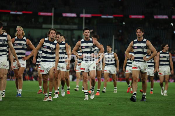 AFL 2025 Round 02 - St Kilda v Geelong - A-58029668