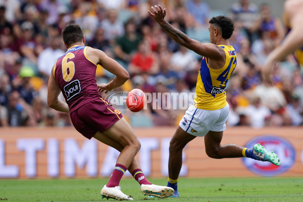 AFL 2025 Round 02 - Brisbane v West Coast - A-58031914