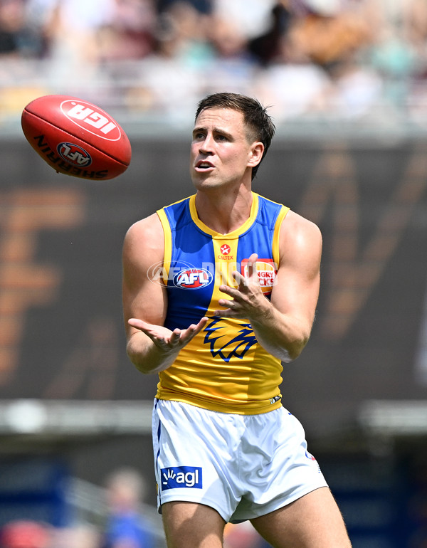 AFL 2025 Round 02 - Brisbane v West Coast - A-58032099