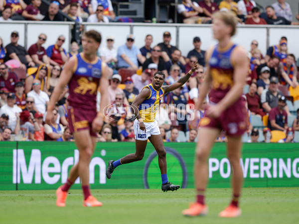 AFL 2025 Round 02 - Brisbane v West Coast - A-58032134