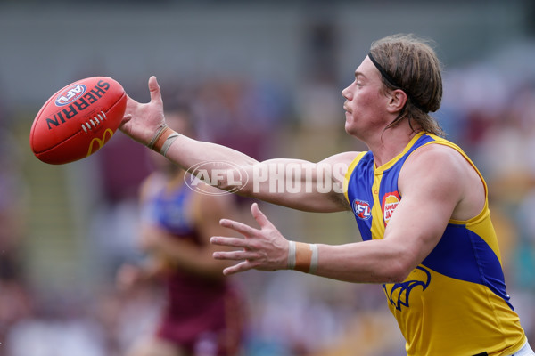 AFL 2025 Round 02 - Brisbane v West Coast - A-58032150