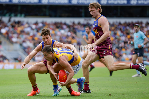 AFL 2025 Round 02 - Brisbane v West Coast - A-58034913