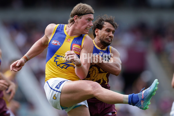 AFL 2025 Round 02 - Brisbane v West Coast - A-58034971