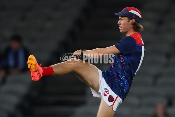 AFL 2025 Round 02 - North Melbourne v Melbourne - A-58037137