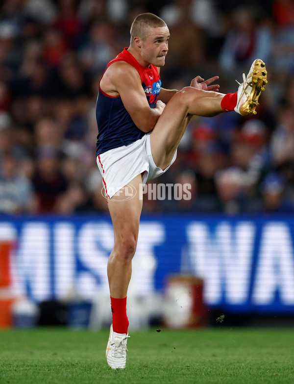 AFL 2025 Round 02 - North Melbourne v Melbourne - A-58043284