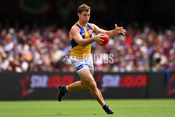 AFL 2025 Round 02 - Brisbane v West Coast - A-58063948