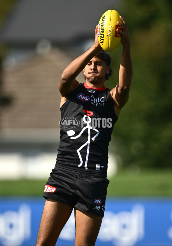AFL 2025 Training - St Kilda 250325 - A-58065685